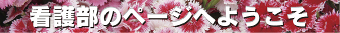 kango_gaiyou02